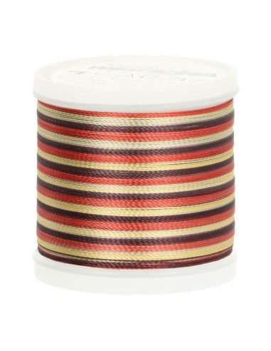 Fil à broder Madeira Rayon Multicolor 200 m