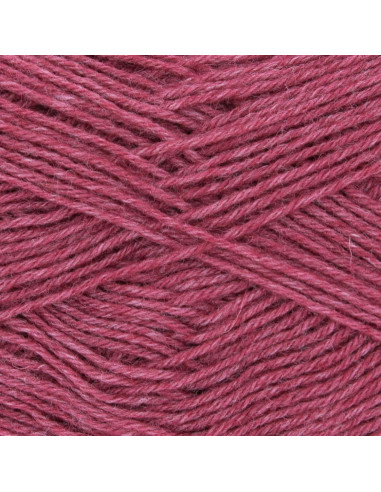 Filato per calze Hot Socks uni 50 Gründl