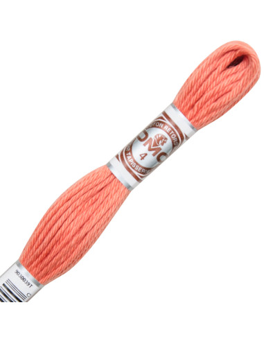 Fil retors mat DMC, fil à tapisserie pour canevas