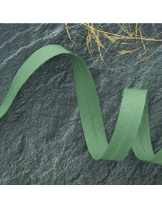 Biais tout textile polycoton - Vert amande