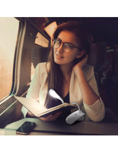 Lampada Daylight con morsetto Smart Clip-on 2