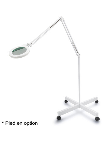 Lampada con lente d'ingrandimento Daylight MAG S