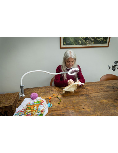 Lampada con lente d'ingrandimento a pinza Daylight Magnificent Pro
