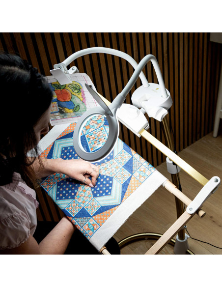 Lente d'ingrandimento e pinza per Daylight StitchSmart 2