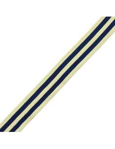 Strisce di gallone in metallo - Blu marino e oro 2