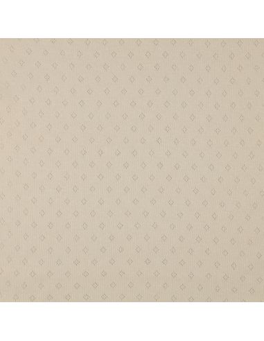 Tessuto jersey a maglia pointelle - Beige