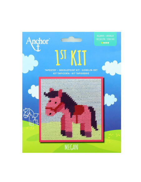 Il mio primo kit di arazzo - Piccolo pony