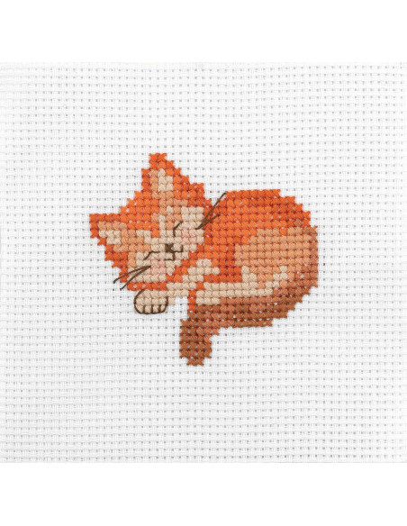 Il mio primo kit punto croce - Gatto