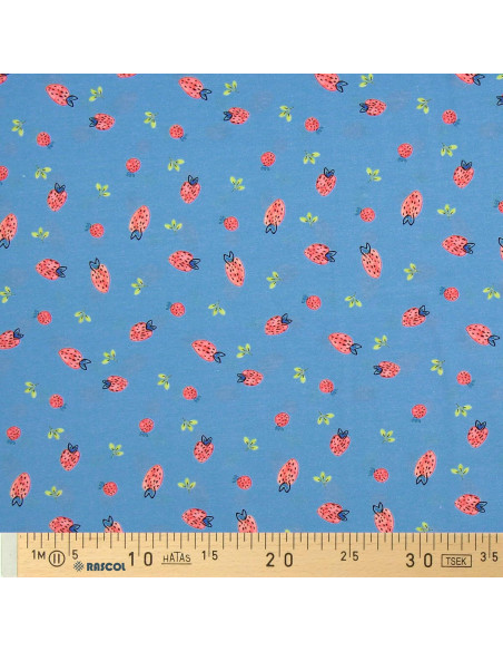 Tessuto jersey Fragole - Azzurro chiaro