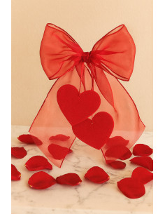 Tessuto organza - Rosso 2