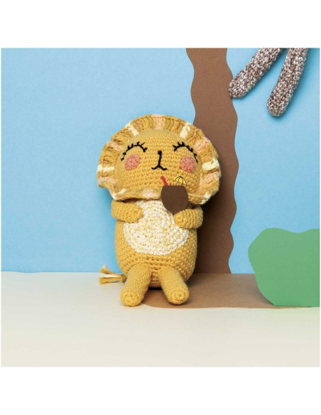 Coffret 20 pelotes de coton Ricorumi - Limited