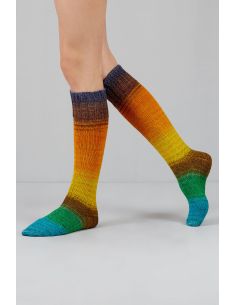 Set di 2 gomitoli di lana per calze Echoes Fingering Gusto Wool 2