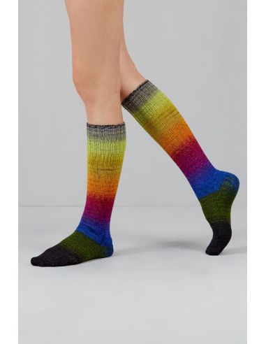 Set de 2 écheveaux de laine à chaussettes Echoes Fingering Gusto Wool