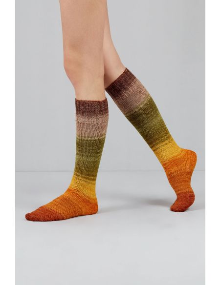 Set di 2 gomitoli di lana per calze Echoes Fingering Gusto Wool