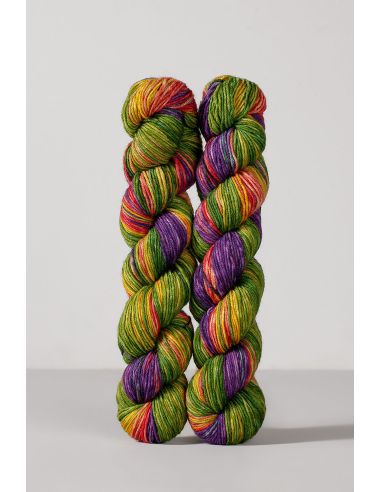 Set de 2 écheveaux de laine à chaussettes Echoes Fingering Gusto Wool
