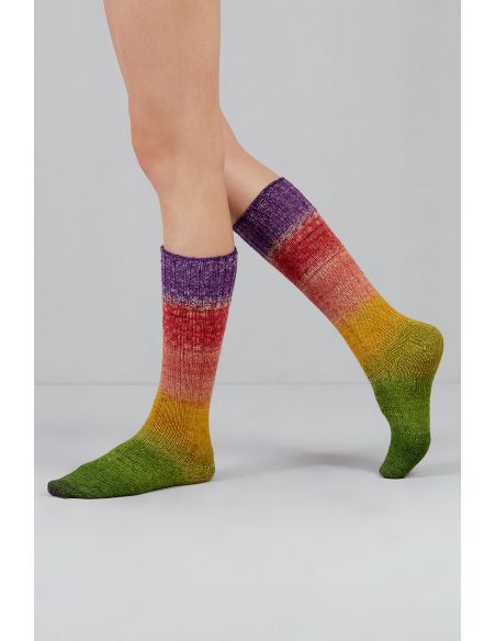 Set di 2 gomitoli di lana per calze Echoes Fingering Gusto Wool