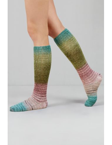 Set de 2 écheveaux de laine à chaussettes Echoes Fingering Gusto Wool