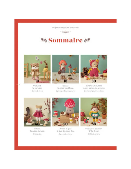 Libro bambole & amigurumi in autunno