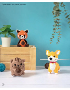 Set obiettivo uncinetto - I miei primi 3 amigurumi 2