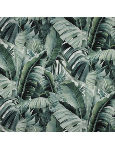 Tela di cotone canvas - Tropicale