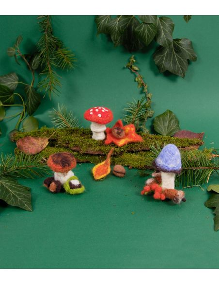 Kit per infeltrimento - Funghi