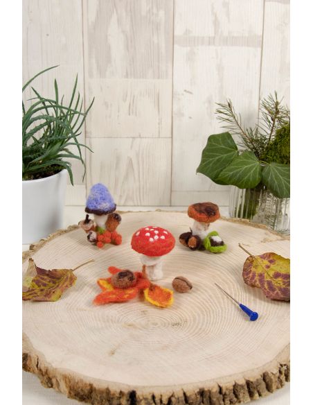 Kit per infeltrimento - Funghi