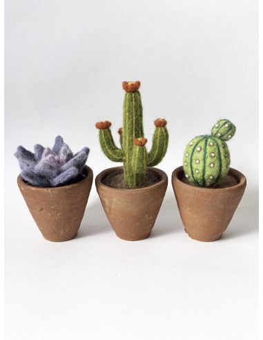 Confezione di 5 lane cardate per infeltrire DMC - Bouquet
