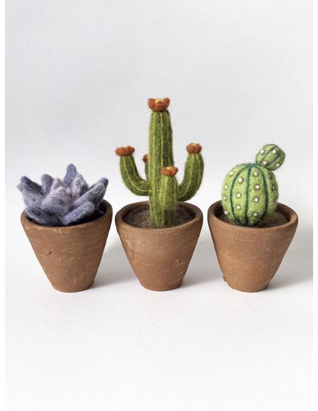 Confezione di 5 lane cardate per infeltrire DMC - Bouquet