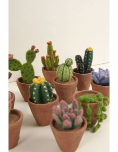 Catalogo infeltrimento DMC - Cactus e succulente 2