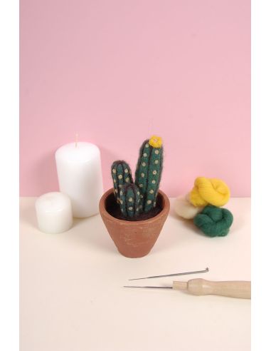 Catalogo infeltrimento DMC - Cactus e succulente