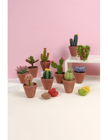 Catalogo infeltrimento DMC - Cactus e succulente