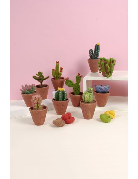 Catalogo infeltrimento DMC - Cactus e succulente
