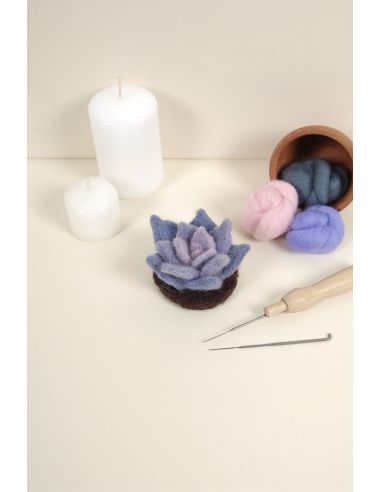 Catalogo infeltrimento DMC - Cactus e succulente