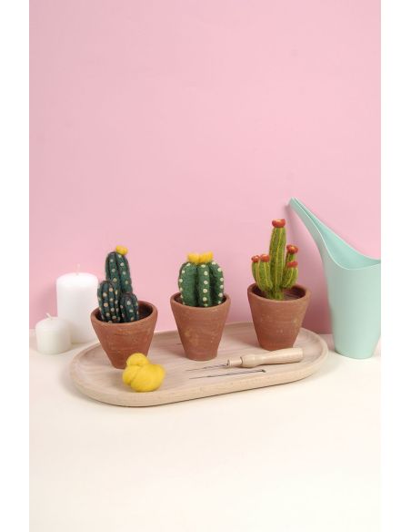 Catalogo infeltrimento DMC - Cactus e succulente