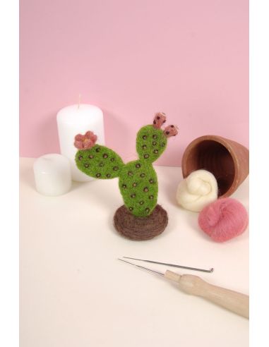 Catalogo infeltrimento DMC - Cactus e succulente