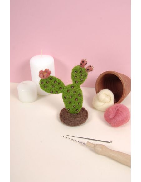 Catalogo infeltrimento DMC - Cactus e succulente