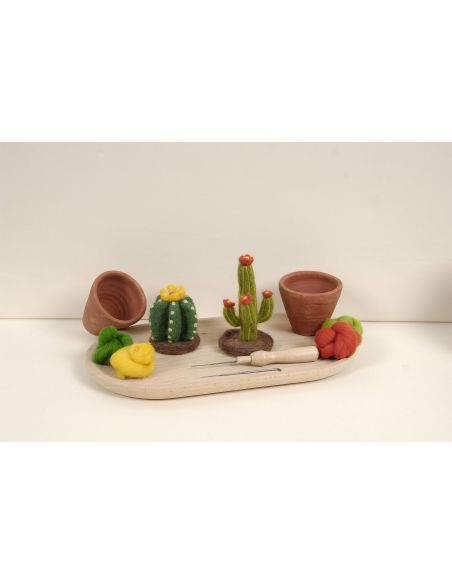 Catalogo infeltrimento DMC - Cactus e succulente