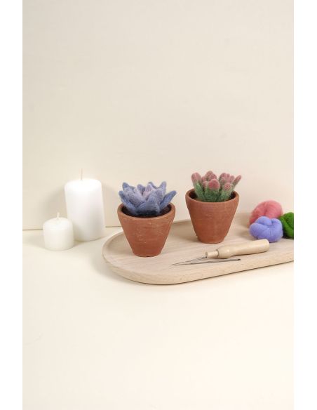 Catalogo infeltrimento DMC - Cactus e succulente