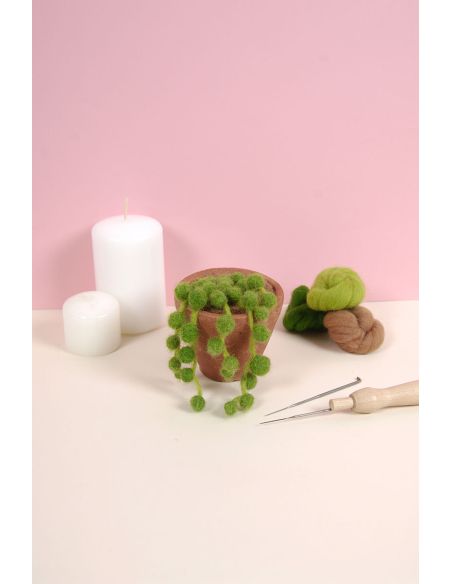 Catalogo infeltrimento DMC - Cactus e succulente