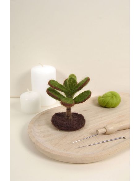 Catalogo infeltrimento DMC - Cactus e succulente