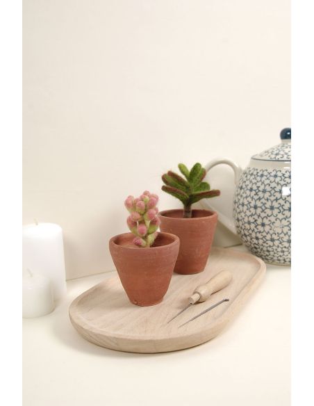 Catalogo infeltrimento DMC - Cactus e succulente