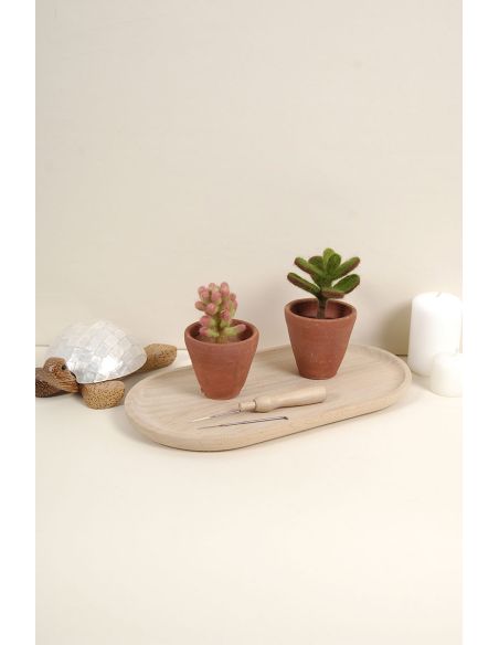 Catalogo infeltrimento DMC - Cactus e succulente