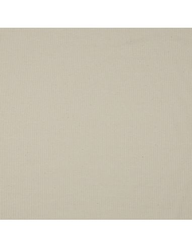Tessuto jersey di cotone a maglia fine a coste - Naturale