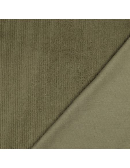 Tessuto velluto a coste di cotone - Verde militare