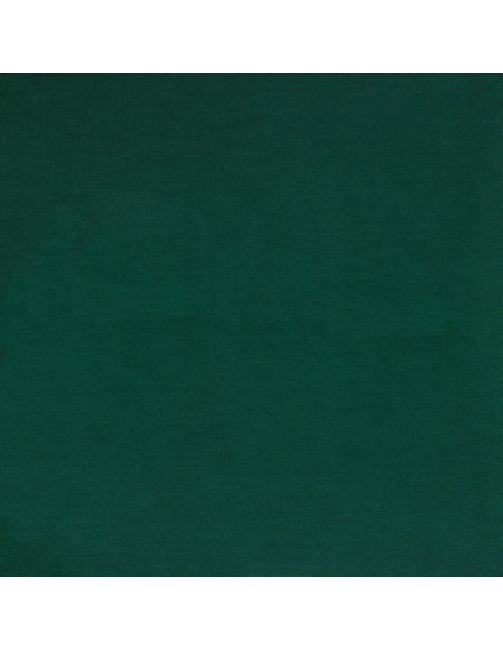 Tessuto jersey tencel modal - Verde