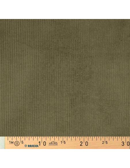 Tessuto velluto a coste di cotone - Verde militare