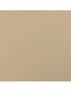 Tessuto Scuba effetto pesca - Beige 2