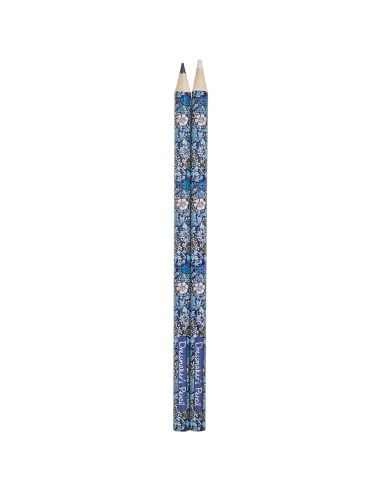 Gesso nero e bianco - Collezione fiori blu