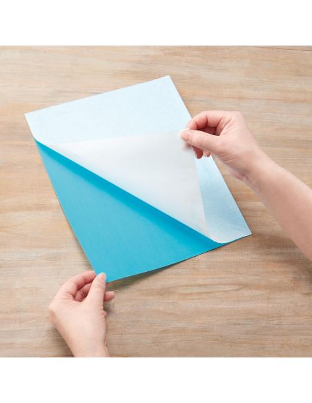 Carta da lucido cancellabile ad acqua Clover