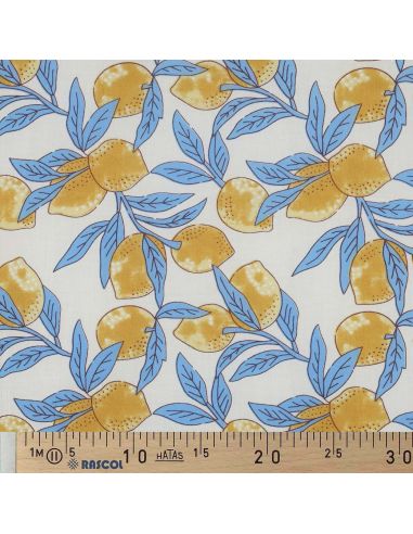 Tessuto di cotone indiano block print Limoni - Foglie blu